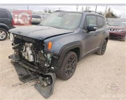 جيب رينيجيد